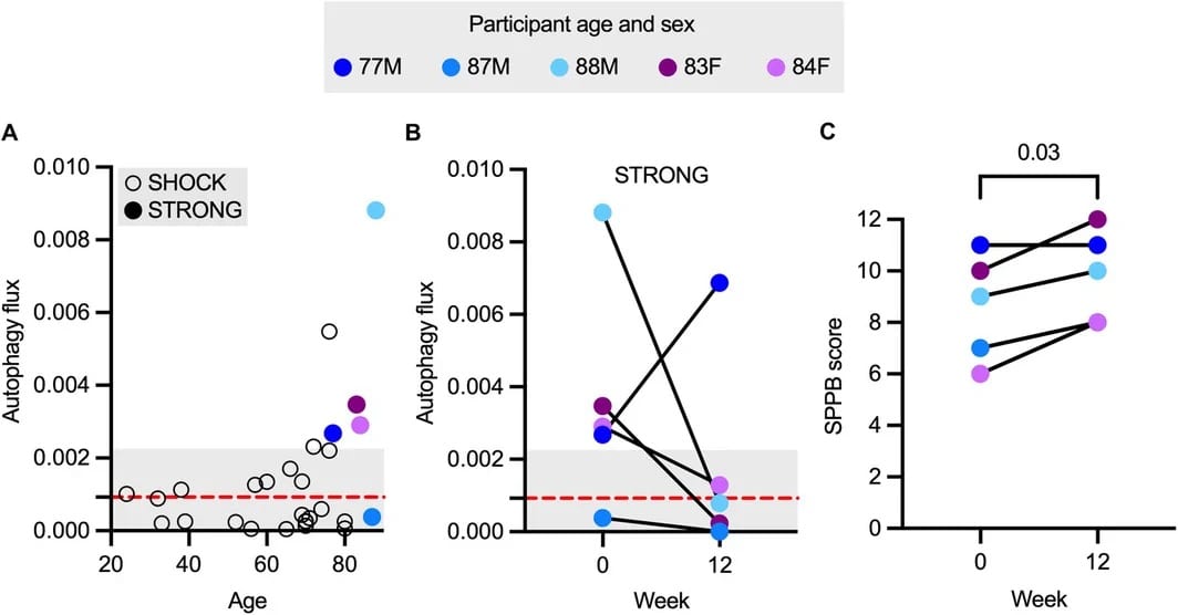 Charts from the exercise pilot: autophagy in five older adults before and after 12 weeks, and their physical performance scores